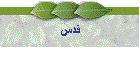 قدس